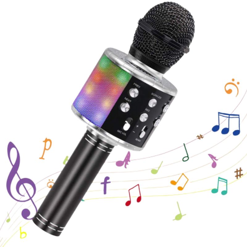 Micro Sans Fil Karaoke - Super Insolite
