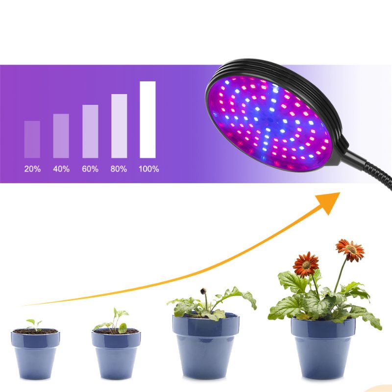 Lampe UV plante – Fit Super-Humain