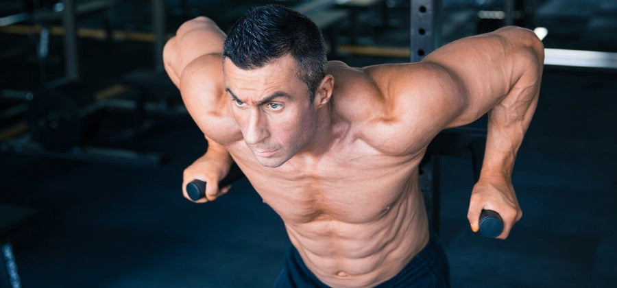 Welche Muskeln trainieren Dips?