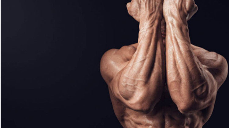 Top 10 oefeningen om onderarmspieren op te bouwen