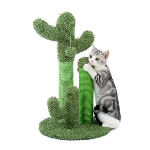 Arbre à chat en forme de cactus