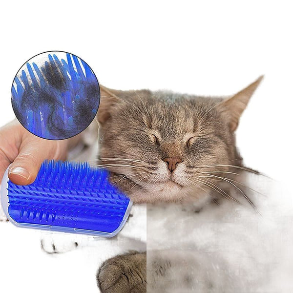 Brosse massage pour chat