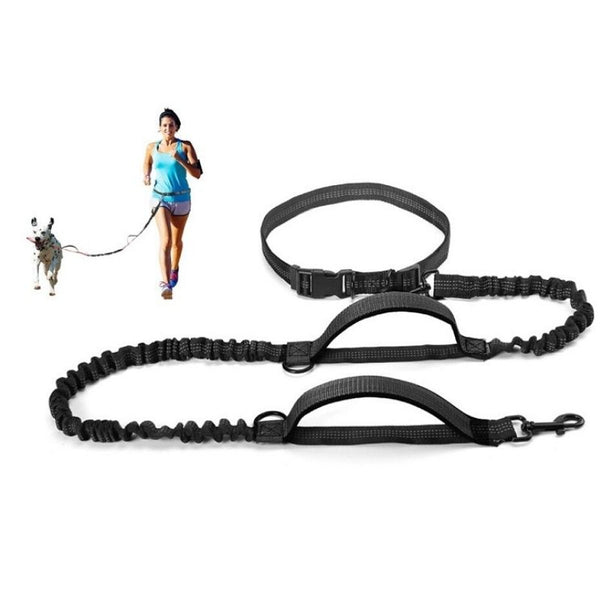 Harnais chien canicross – Fit Super-Humain