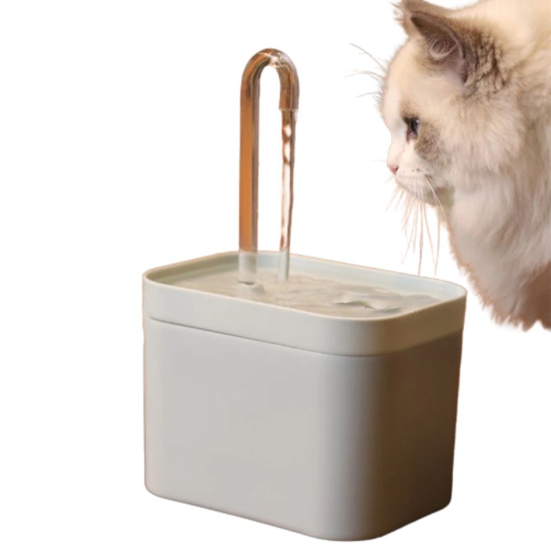 Fontaine robinet chat
