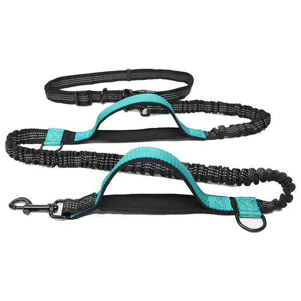 Canicross belt with leash