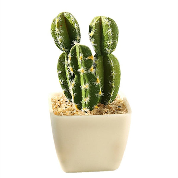 Pot mini cactus