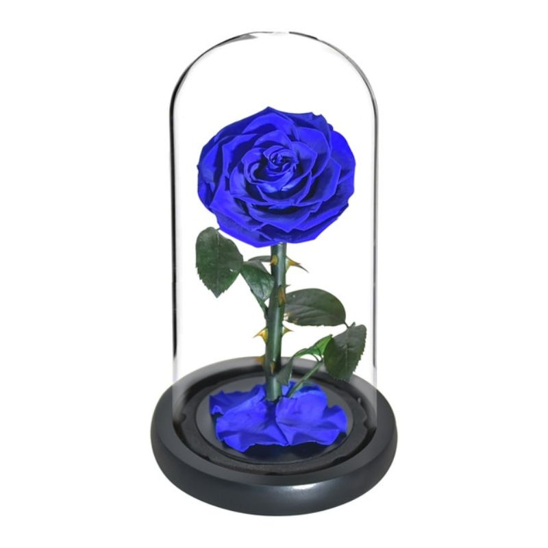 Bouquet de rose éternelle