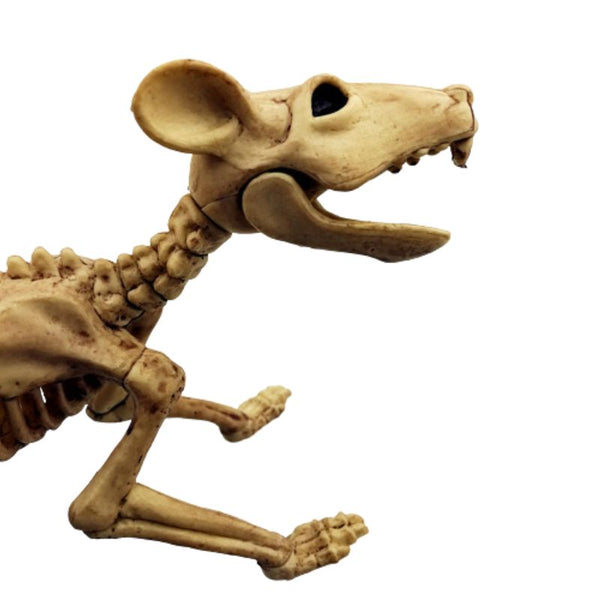 Squelette souris halloween