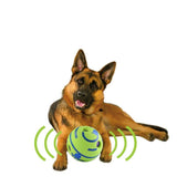 Balle interactive pour chien