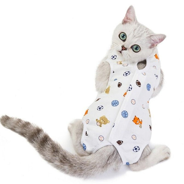 <tc>Cat recovery suit sterilization</tc>