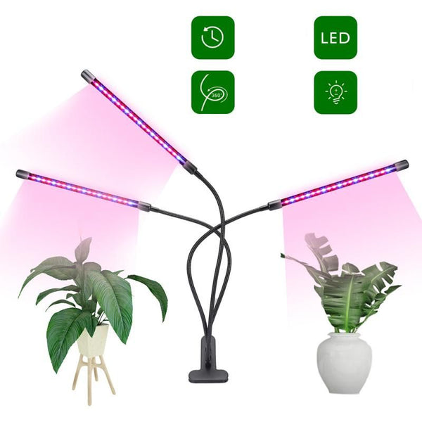 Lampe UV plante intérieur – Fit Super-Humain