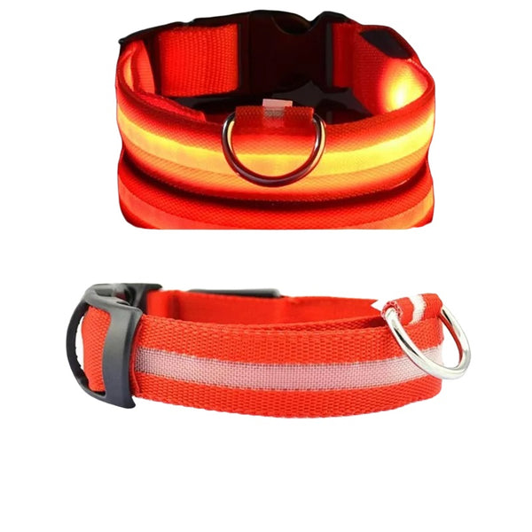 Collier lumineux chien – Fit Super-Humain