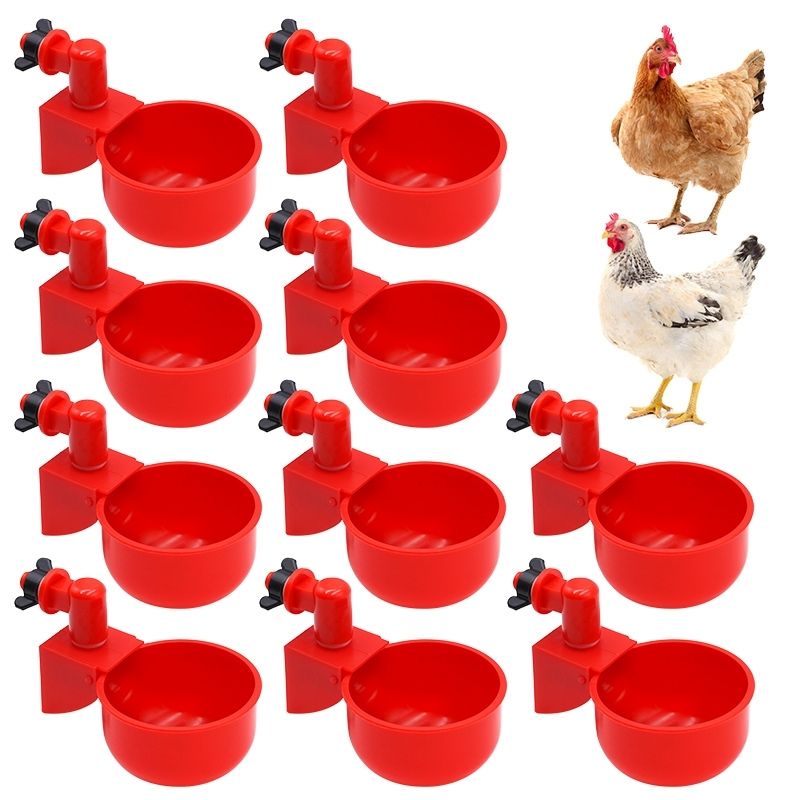 Abbeveratoio per galline – Fit Super-Humain