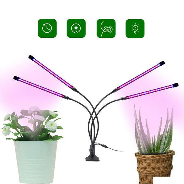 Lampe UV plante