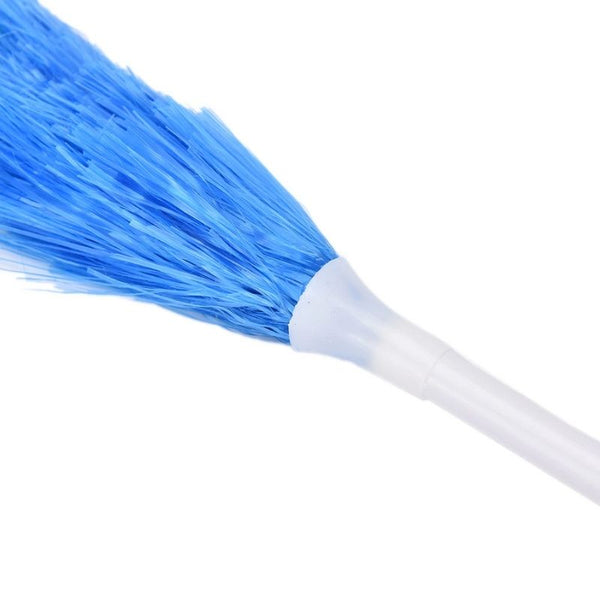 <tc>Feather duster</tc>