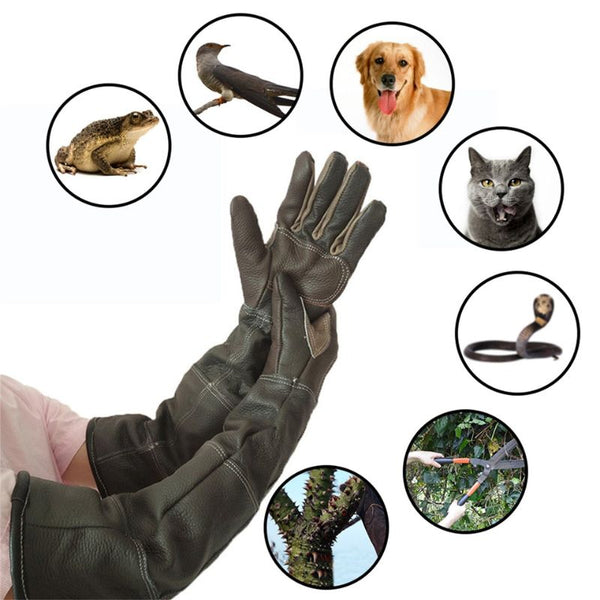 <tc>Dog Bite Protection Gloves</tc>