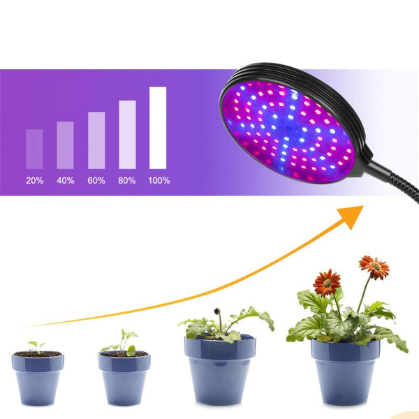 Lampe UV plante intérieur