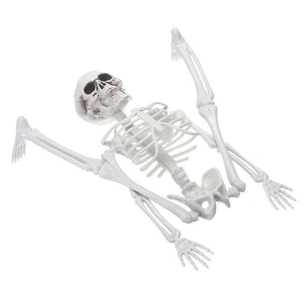 Squelette Halloween, Squelette Lumineux pour Halloween, Mini Maquette  Squelette Humain Modèle Anatomique Squelette Lumineux,décoration Suspendue  de Faux Squelette Humain, Décoration Suspendue 90CM : : Cuisine et  Maison